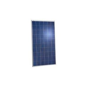 Módulo Solar JinkoSolar 265Wp